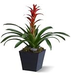 Teleflora