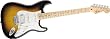 Fender Standard Stratocaster HSS Brown Burst Guitar