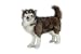 Alaskan Huskey Dog 14"