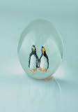 Arctic Ice on the Penguin 100% Handblown Glass Art Paperweight P154