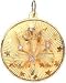 Jewelry : Flower and Stars Concave Round Disc, 14K Gold Charm