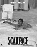 SCARFACE HOT TUB BLACK WHITE POSTER 16X 20 #1018A