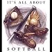 It's All About Softball T-shirt