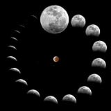 Wallmonkeys Peel and Stick Wall Decals - The Sequence of a Total Lunar Eclipse as Viewed from Almada, Portugal. - 18"W x 18"H Removable Graphic