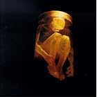 Click here to buy Nothing Safe by  Alice In Chains .