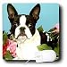 boston terrier - Dogs Boston Terrier - Emma Boston Terrier - Mouse Pads