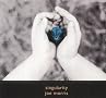 Singularity Singularity