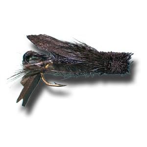 Cricket Fly