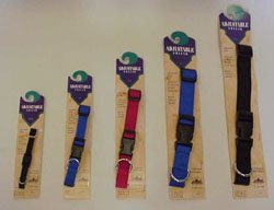 SCOTT NYLON ADJUSTABLE COLLAR SMALL BLUE 8-12