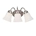 Bathroom Lighting Nickel
Sea Gull Lighting 44020-962 Westmont 3-Light Vanity with Satin White Glass, Brushed Nickel