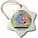 Through The Looking Glass Feng Shei - 3 Inch Snowflake Porcelain Ornament