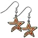 Houston Astros Dangle Earrings