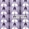 Large Door