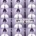 Large Door
