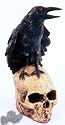 Raven On Skull Latex Halloween Animated Prop