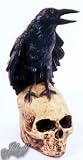 Raven On Skull Latex Halloween Animated Prop
