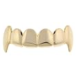 Vampire Fang Gold Plated Grillz (TOP) - Includes Fitting Piece and Protective Case