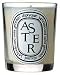Diptyque Aster (Michaelmas Daisy) Candle - 6.5 oz.