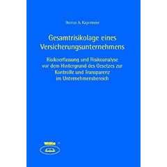 Gesamtrisikolage eines Versicherungsunternehmens