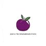 The Dismemberment Plan/Juno