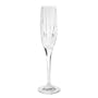 Mikasa Arctic Lights Fluted Champagne