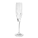 Mikasa Arctic Lights Fluted Champagne