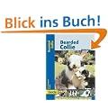 Bearded Collie, Praxisratgeber