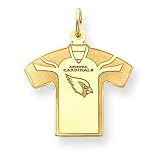 14K Arizona Cardinals Small Jersey w/Name & Logo