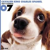 THE DOG キャバリア・キング・チャールズ・スパニエル 2007年 カレンダー