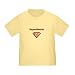 Search : Personalized SuperHunter Hunter Superman Hero Baby Infant Toddler Kids Shirt - Birthday Collection