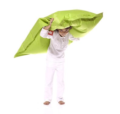 Imagen principal de Fatboy 900.0503