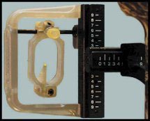 SAVAGE SYSTEMS PENDULUM MAXStyle: Single Fiber Optics-Green