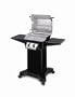 Ducane 13003101 688-Square-Inch 2-Burner Natural Gas Grill, Black