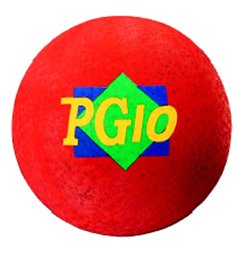 10 Playground Ball