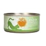Soulistic Good Karma Chicken Dinner Adult Canned Cat Food in Gravy