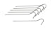 Lightweight Titanium Tent Skewers/Pegs 5.5g Each x 6