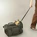 Deluxe Wheeled Pet Carrier w/Wheel Cover