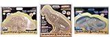 Nylabone Dental Dinosaur (Assorted)- assorted