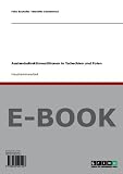 Auslandsdirektinvestitionen in Tschechien und Polen - Felix Bachofer, Marielle Dannenman