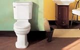 American Standard 4281.016.021 Townsend Champion Toilet Tank, Bone