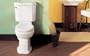 American Standard 4281.016.021 Townsend Champion Toilet Tank, Bone