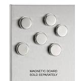  : Set of Stainless Steel Magnets (Stainless Steel) (2.5cm diameter)