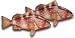 Red Grouper Fillet, 1 Pound