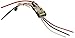 Castle Creations PHX Edge Lite 75 Amp Electronic Speed Controller with 5 Amp BEC
