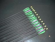 Delta Elite Carbon Arrows