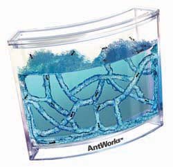Childrens Toyshop  Electronics : Antworks