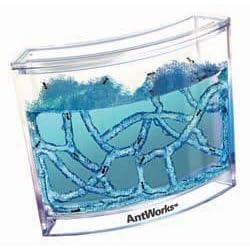 Antworks