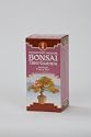 Grow Your Own Japanese Maple Bonsai Tree