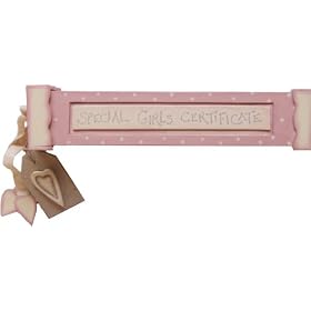 Baby Girl Pink & Cream Birth Certificate Holder Christening Gift
