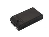Battery-Biz DURACELL DR8 Equivalent Camcorder battery